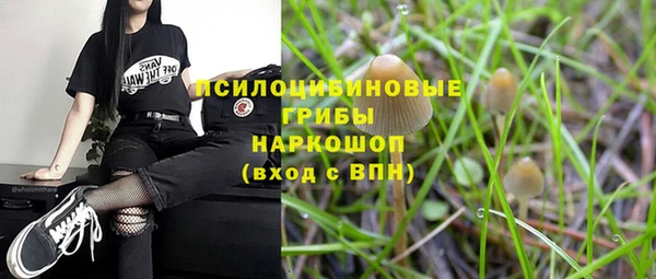 ПСИЛОЦИБИНОВЫЕ ГРИБЫ Алексеевка