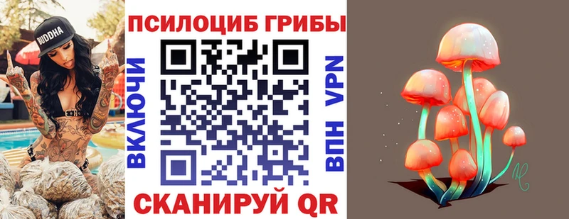 Псилоцибиновые грибы мицелий  omg как зайти  Апатиты 