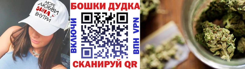 Конопля ГИДРОПОН  цены   mega   Апатиты 